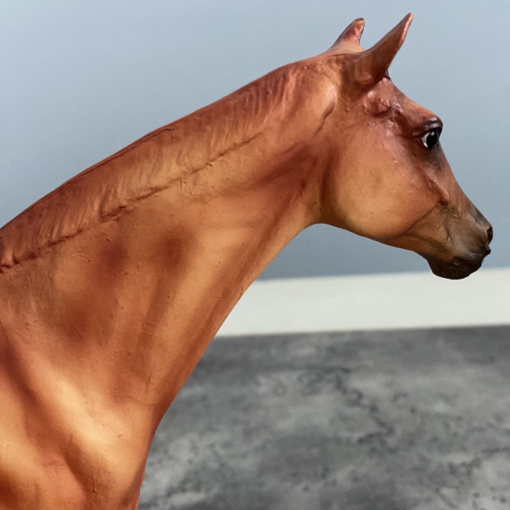 Breyer Retired Let’s Go Riding: Racing - Picture 12 of 16